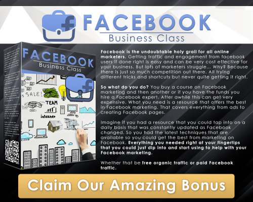 PREMIUM Facebook Business Class Image