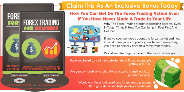 Forex Trading For Newbies Image
