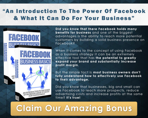 Facebook Business Basics Image
